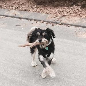 Meet your Posher, Tatiana